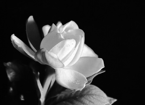 �d�ӻ��_