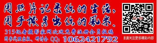 窗外的三角梅 窗外的三角梅