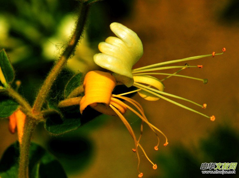 ���y���_��������(gu��)�zӰ��Ʒ
