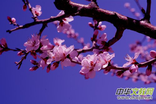 15ӛ�ߔzӰ�ҾW(w��ng)����ȫ���ДzӰ��(hu��)�T