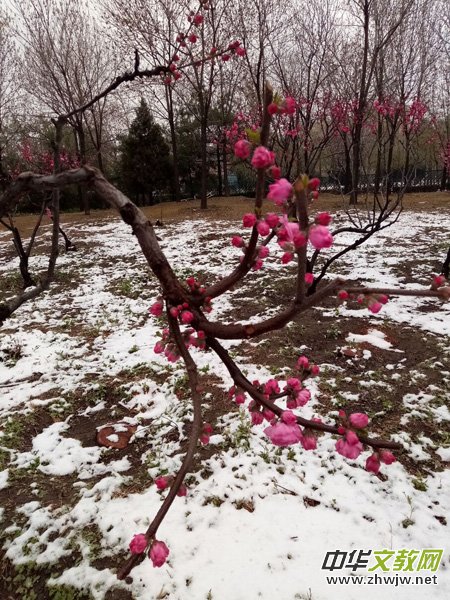 �����r(sh��)����ѩ�ӣ����Ĺ��@������