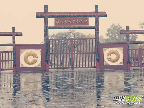 ���M�Ŷ��������