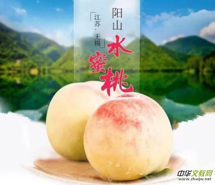�(y��ng)ɽˮ���ҷNֲ���ء���ӛ��ꂥ�f���ڽ��c��������Y(ji��)��