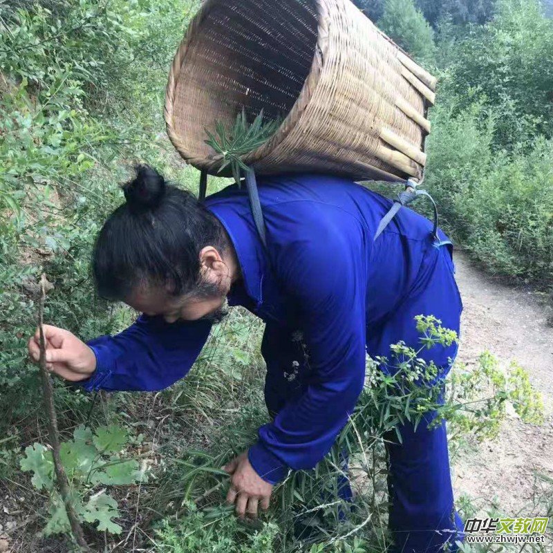 拉指診療非遺傳承人——雷尚 拉指診療非遺傳承人——雷尚