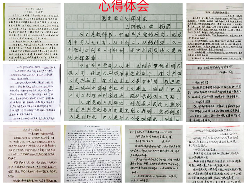 ����ʡ��ɽ�����(y��ng)�(zh��n)С�W(xu��)ȫ�w�̎����ϼ��г���ի@�M�M