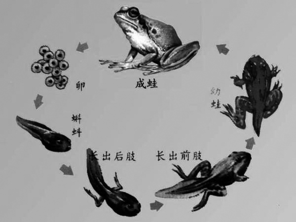 我的發(fā)現(xiàn) 我的發(fā)現(xiàn)