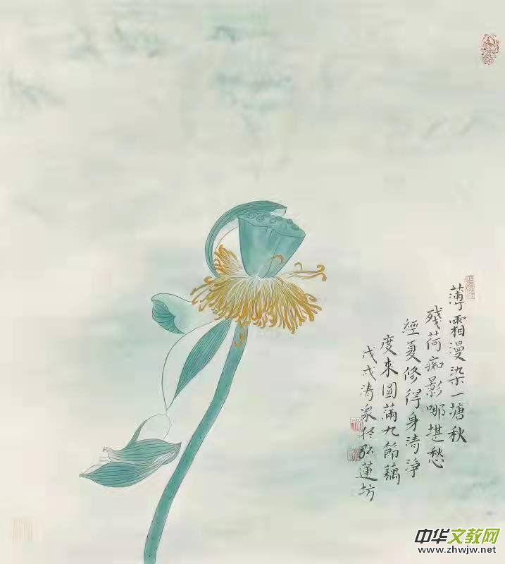 �����ɮ�������Ȫ�ɻ���Ʒ���p