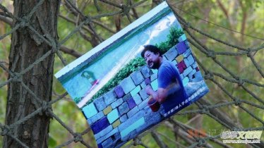 �{ɫ�ϻ�֮��Ԋ��ˇ�g�Ҽo����ؑ־���b���ھ��e�k