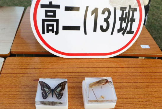 ��r犣� ��(chu��ng)�����M �Ƽ�����