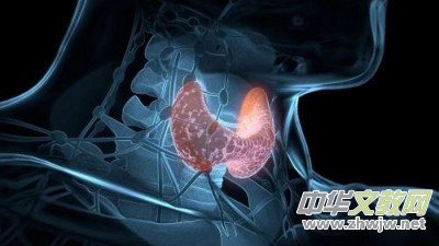 90后00后年輕人不喜歡接電話:廣告推銷電話成主要 “攔路虎” 90后00后年輕人不喜歡接電話:廣告推銷電話成主要 “攔路虎”