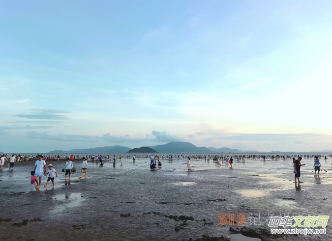 ��Ӱ�T�����P�����z ���� ���w