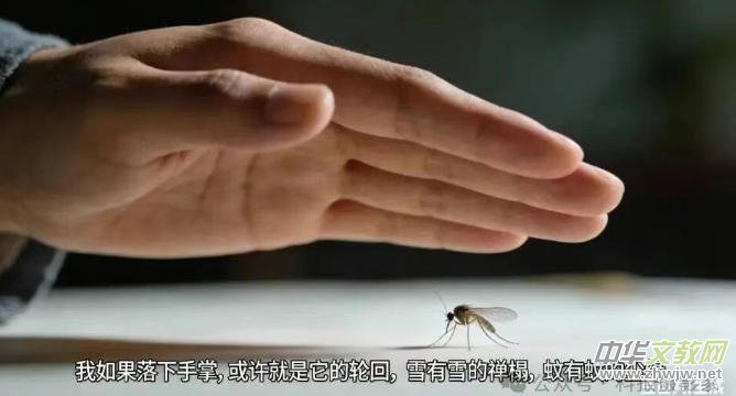 Ц����Ԋ�����¶�ʮ�ŵ�����